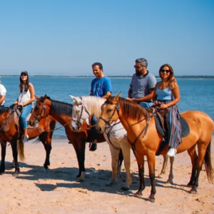 Push Forward, Eventos, Team Building, Activaciones de marca